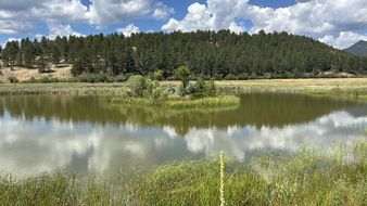Enlarge photo 108