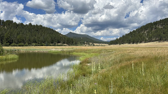 Enlarge photo 109