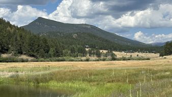 Enlarge photo 110