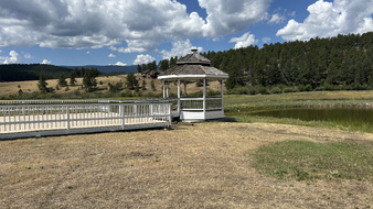 Enlarge photo 111