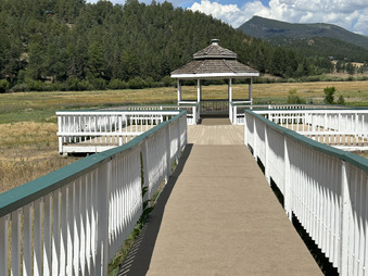 Enlarge photo 118