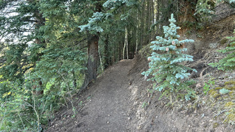 Enlarge photo 31