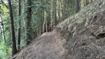 Enlarge photo 32