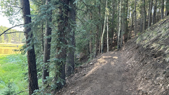 Enlarge photo 33