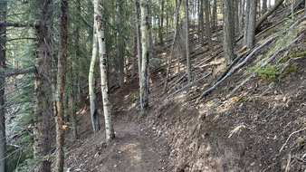 Enlarge photo 34