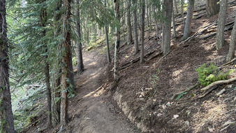 Enlarge photo 35