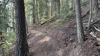 Enlarge photo 36
