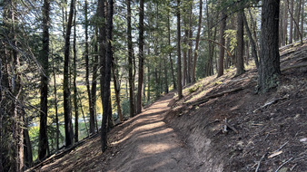 Enlarge photo 37