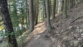 Enlarge photo 41