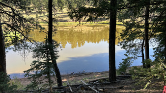 Enlarge photo 40
