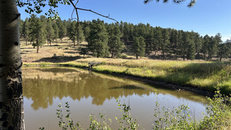 Enlarge photo 46