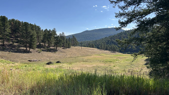 Enlarge photo 51