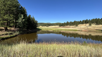 Enlarge photo 52