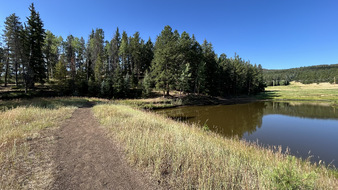Enlarge photo 54