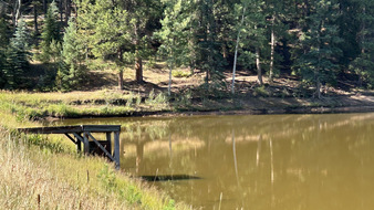Enlarge photo 68