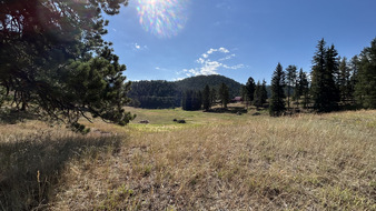 Enlarge photo 69