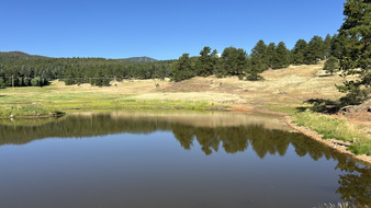 Enlarge photo 71