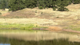 Enlarge photo 72