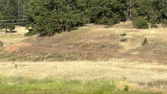 Enlarge photo 75