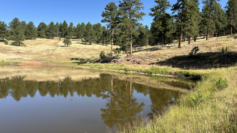 Enlarge photo 73