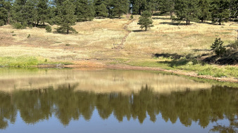 Enlarge photo 76