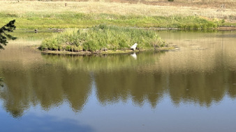 Enlarge photo 78