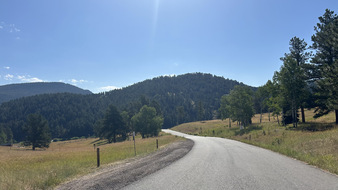 Enlarge photo 82