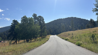 Enlarge photo 83