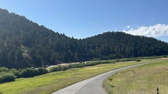 Enlarge photo 85
