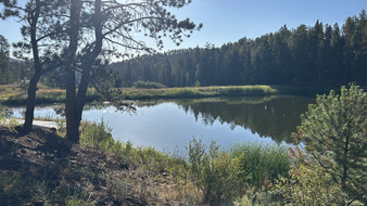 Enlarge photo 14