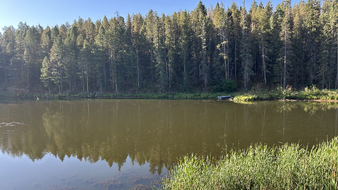 Enlarge photo 15