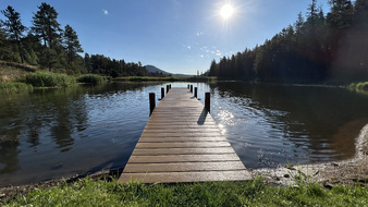 Enlarge photo 44