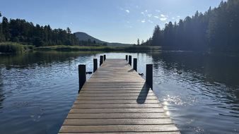 Enlarge photo 46