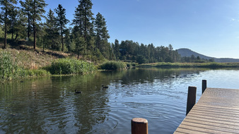 Enlarge photo 48