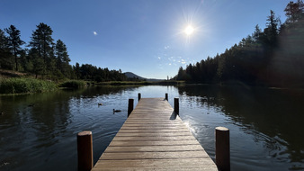 Enlarge photo 45