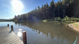 Enlarge photo 50