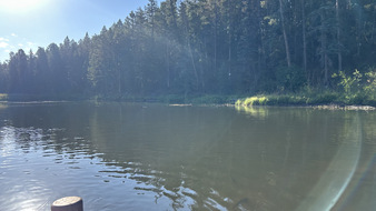 Enlarge photo 51