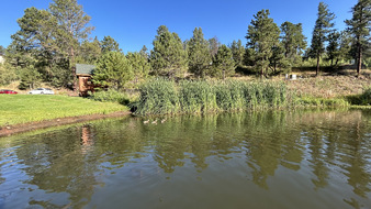 Enlarge photo 56