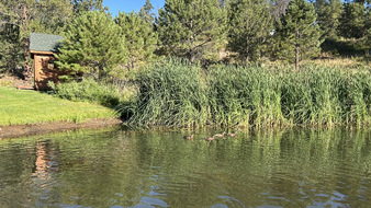 Enlarge photo 57