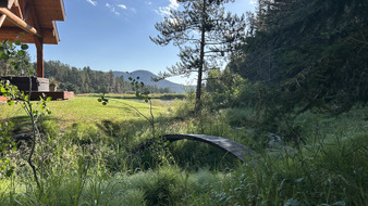 Enlarge photo 64