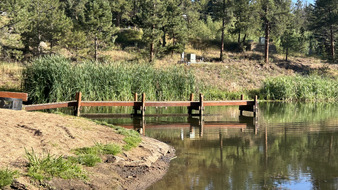Enlarge photo 35