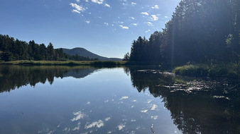 Enlarge photo 40