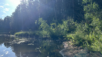 Enlarge photo 41