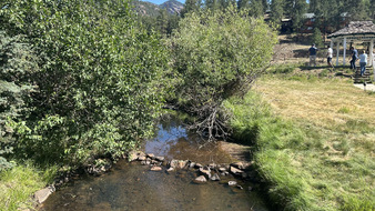 Enlarge photo 14