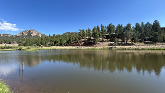 Enlarge photo 23