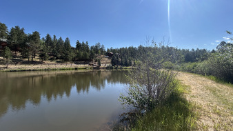 Enlarge photo 24