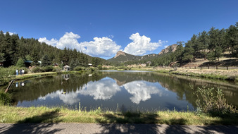 Enlarge photo 33
