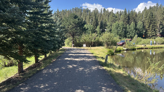 Enlarge photo 43