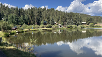 Enlarge photo 44