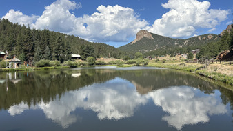 Enlarge photo 45